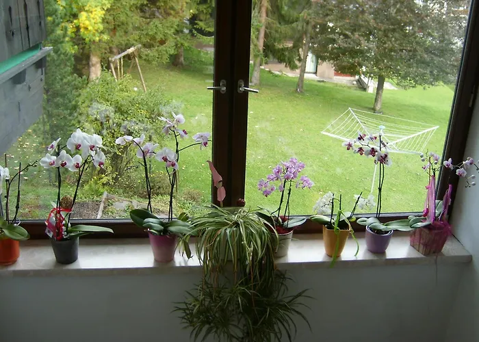 Appartements Birkenhof