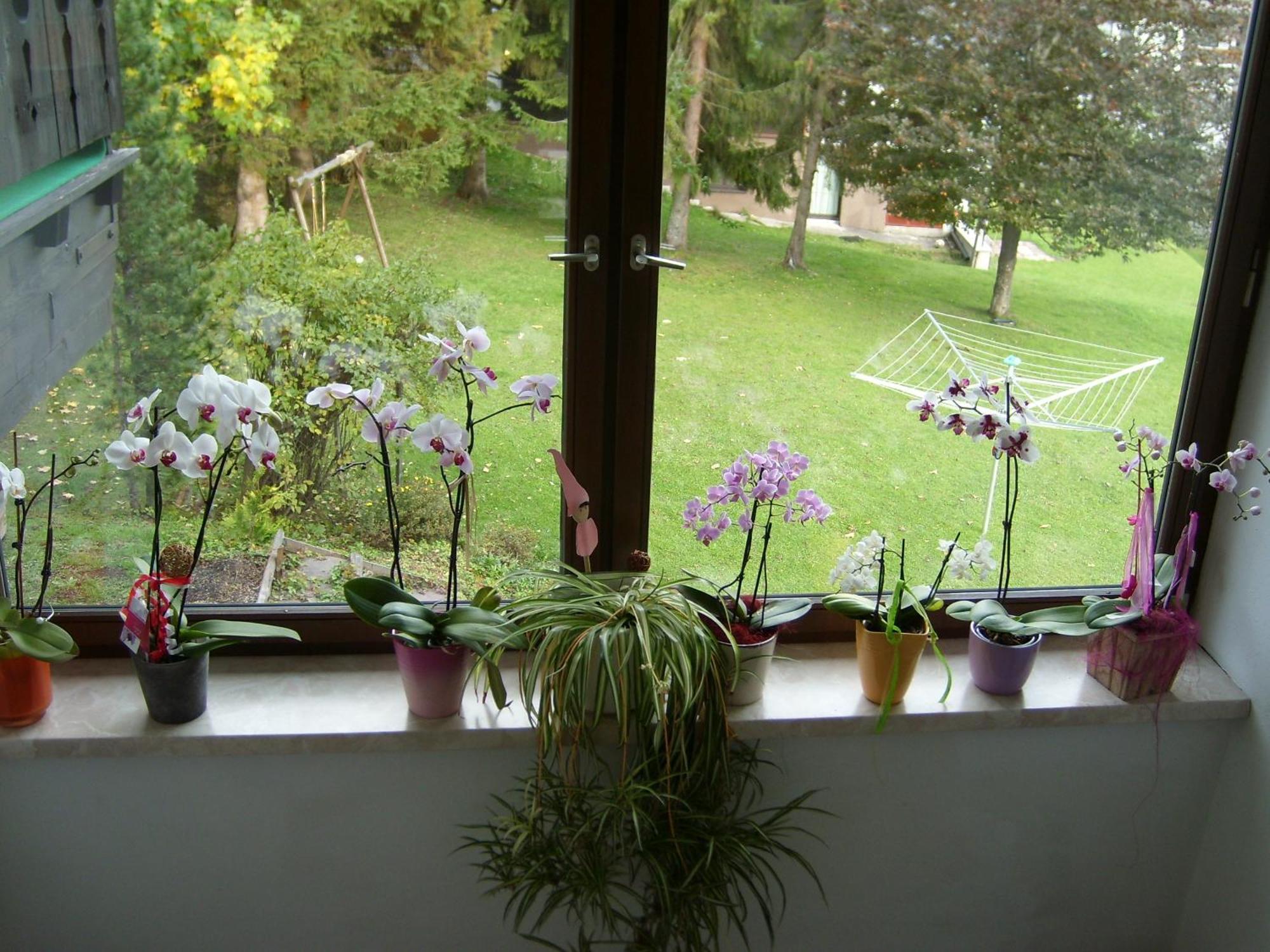 Apartment Birkenhof